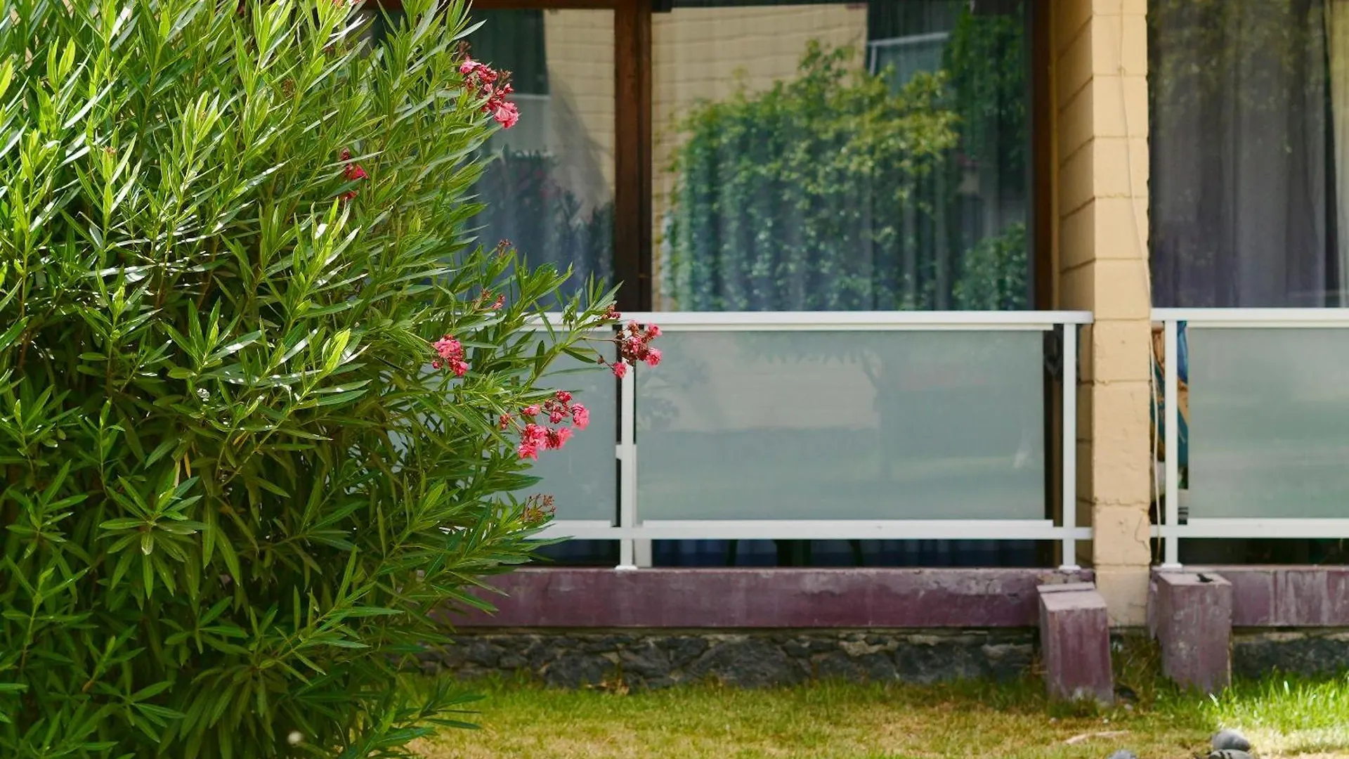 Apartamento El Gato Costa Del Silencio